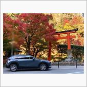 CX30  そして京都へ