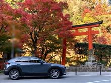 CX30  そして京都へ