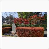 田丸城跡と村山龍平記念館の紅 ...