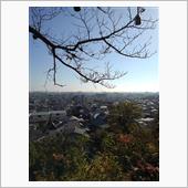 本日は