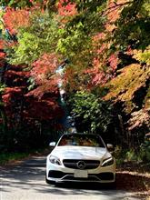 愛車と紅葉🍁C63・CX30編