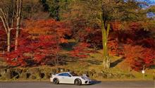 911と遊ぶ　紅葉を求めて上州へ