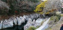 紅葉が見頃の時期