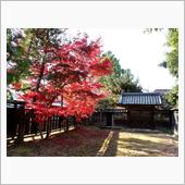 田上町豪農の館まで紅葉見物