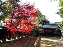 田上町豪農の館まで紅葉見物