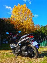 秋を探して ride on time