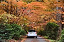 軽く近場で紅葉ドライブ