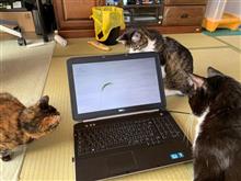 ISTA4.24(2020_6)とノートPCチューン