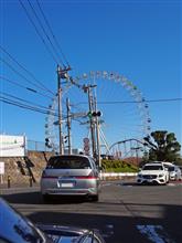 又土曜日出勤ドライブの青空と黄色い紅葉