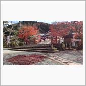 奈良県の紅葉巡り