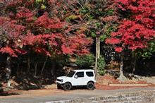 トミカ 発売日と作手の紅葉 Jimny Walker トミカ 発売日と作手の紅葉 Jimny Walker