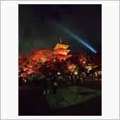 清水寺夜間拝観 2020ライ ...