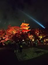 清水寺夜間拝観 2020ライトアップ