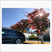 11月の3連休は山梨の道の駅 ...
