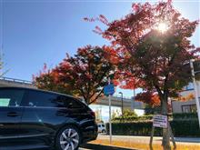 11月の3連休は山梨の道の駅 攻略！