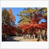 埼玉県立自然博物館周辺の紅葉 ...