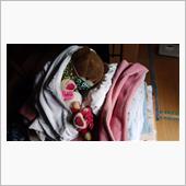分身熊は毎日寝てる･････