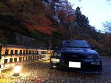 秋の愛車撮影会 リベンジ
