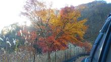 晩秋の彩甲斐路 紅葉ドライブ 晩秋の彩甲斐路 紅葉ドライブ