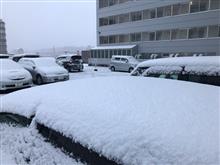 札幌は今シーズン2度目の雪景色☃️に❣️