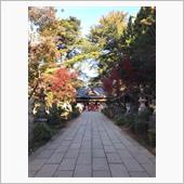大宝八幡宮