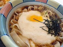 きしめんがあったら選ぶ(｡+･｀ω･&#180;)