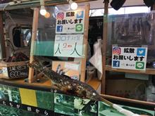 今日のお昼ごはんどうする？