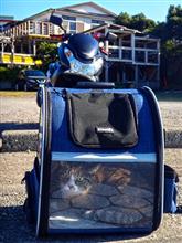 三連休最後は猫とプチツー