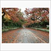 山口日帰り紅葉バスツアー