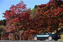 &#39;20.11.15 -2 比叡山の紅葉と緑のロードスター