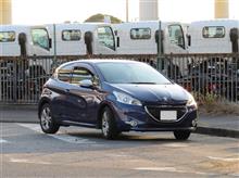 金網の向こう側の車たち2020 