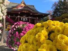11月22日 笠間から奥久慈へ 11月22日 笠間から奥久慈へ