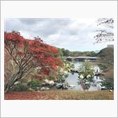 予定外でまた紅葉狩り Par ...