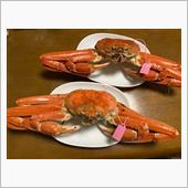 のりパパ流カニの食べ方😋笑