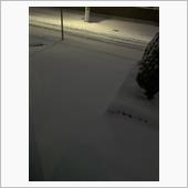 ついに来てしまった！