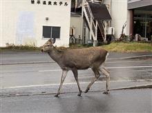 温泉郷にあるレストランのメニューが不思議　(&#176;▽&#176;)笑