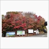 2020年　紅葉ライド　その ...