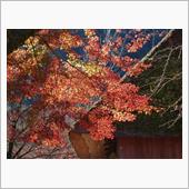 足助「香嵐渓」の紅葉も終り、、