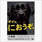 厚労省の薬事監視指導課に電話 ...