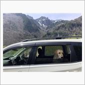 R2 春の山とたま