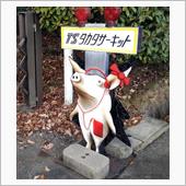 10数年ぶりのタカタサーキッ ...