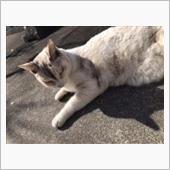 こんにちは😃