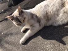 こんにちは😃