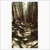 山ばっかりのヤマナシ