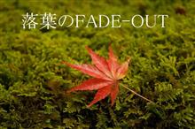 落葉のFADE-OUT　(前編)