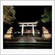 いつもの神社も ライトアップでいい感じ⛩✨ 〜 後編