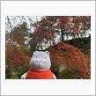 千葉県紅葉めぐり