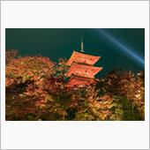 京都紅葉ライトアップ【永観堂 ...