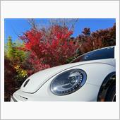 多聞院に行って来ました🍁� ...