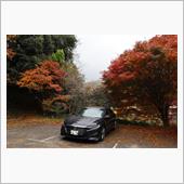 丹波篠山にて、蕎麦と紅葉
